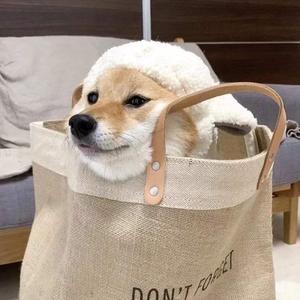 舞蹈生戴小玩具练芭蕾的注意事项
