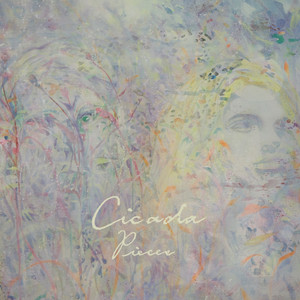 舞蹈生戴小玩具练芭蕾的注意事项
