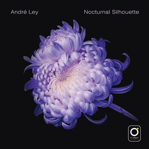 舞蹈生戴小玩具练芭蕾的注意事项
